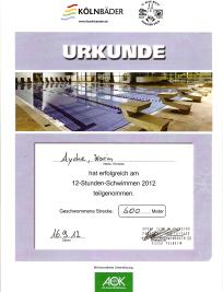 12-Std-Schwimmen Stadionbad_mod.jpg