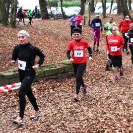 IMG_3927_Boc1.jpg