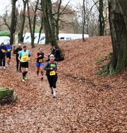IMG_3983_Boc1.jpg