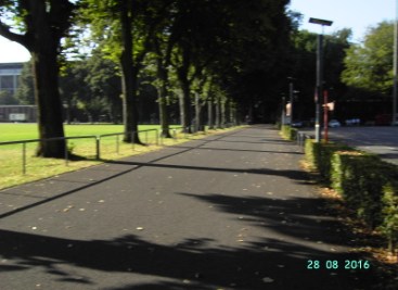 PICT0142_mod.jpg