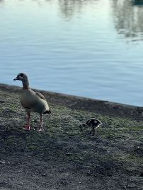 R-Leat1wN6Eqdsr2QjQ-flTTcd_1wEoH0sArVqcrykE-1536x2048_sm.jpg