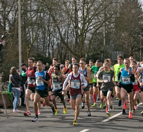 Start-Bayerlauf_mod.jpg