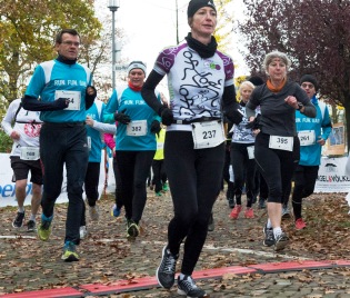 start_d6_122466_mod2.jpg